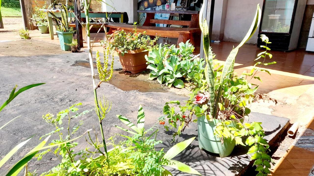 Hostal Sol Iguazu Puerto Iguazú Exteriör bild