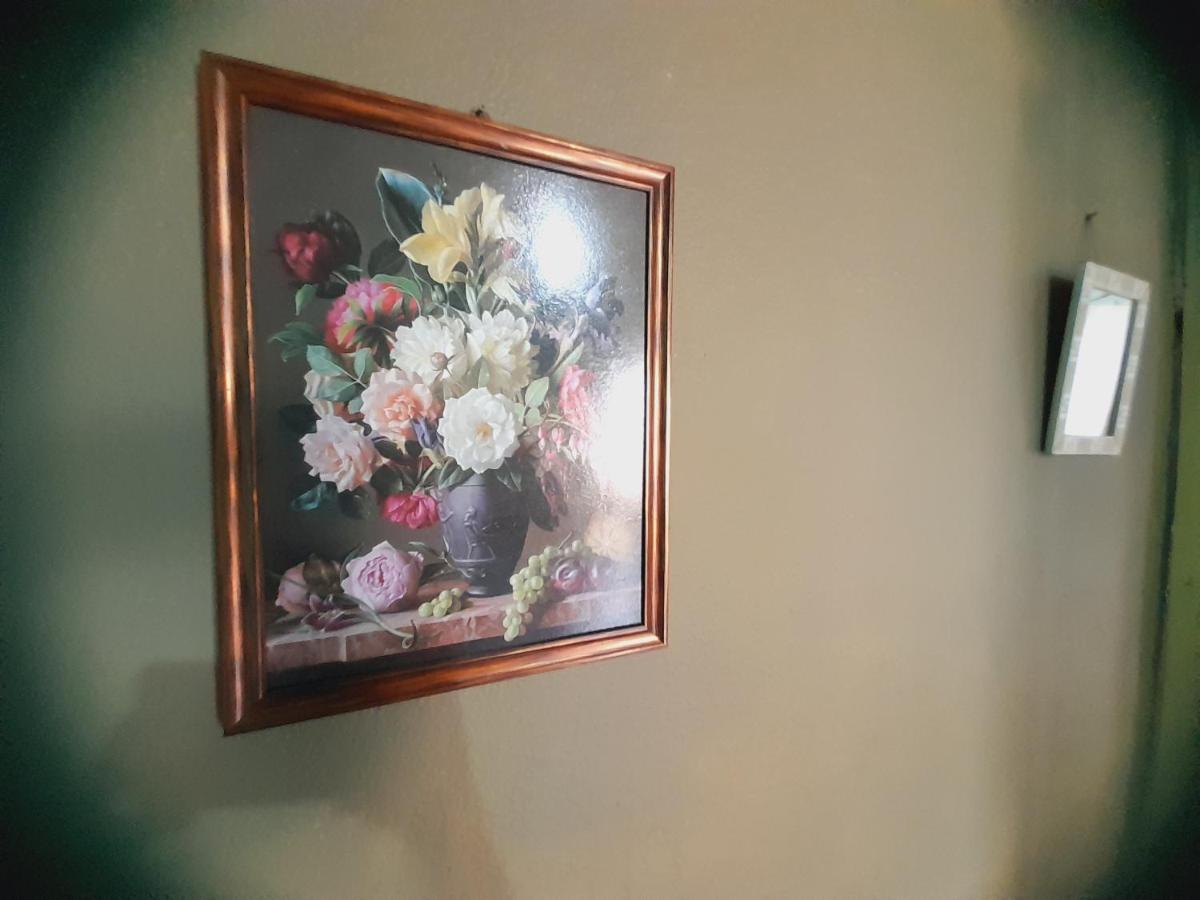 Hostal Sol Iguazu Puerto Iguazú Exteriör bild